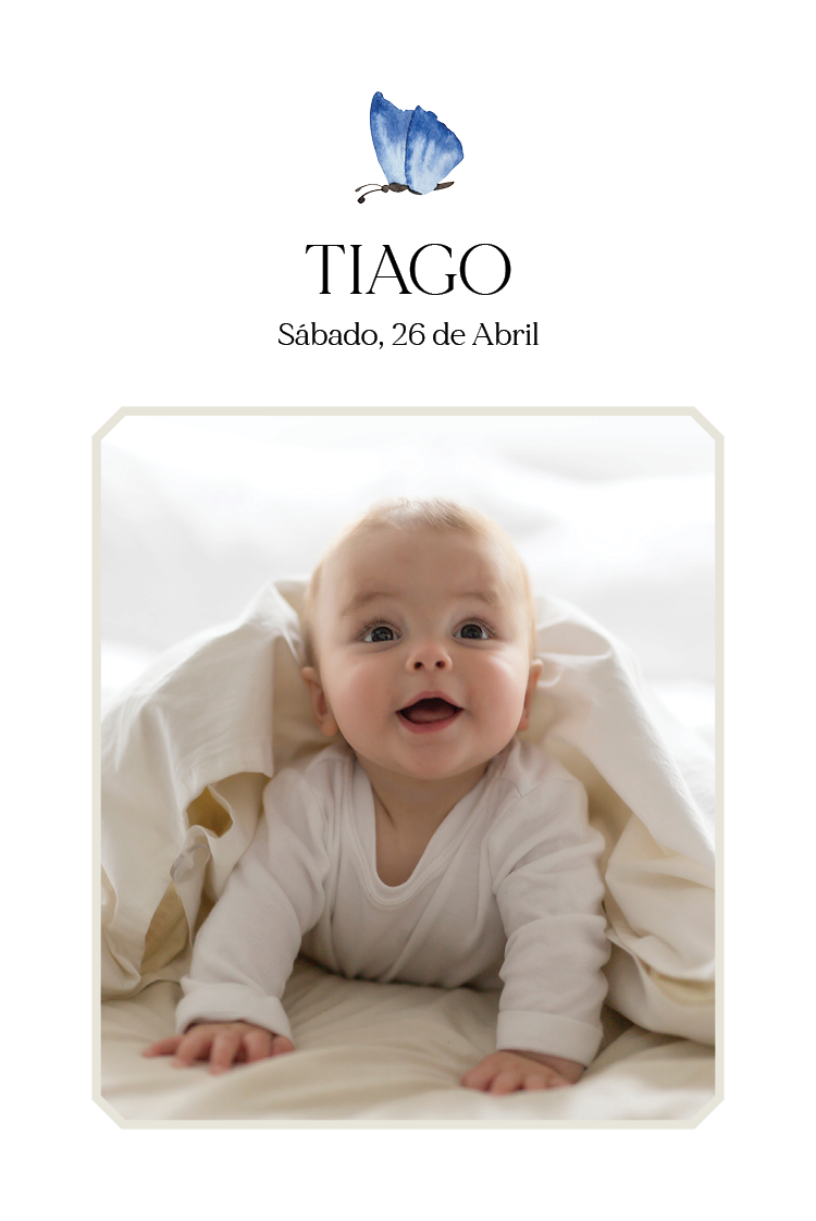 Convites — Pequenas borboletas