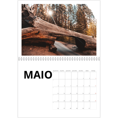 Calendário A4 duplo — White space [capa]
