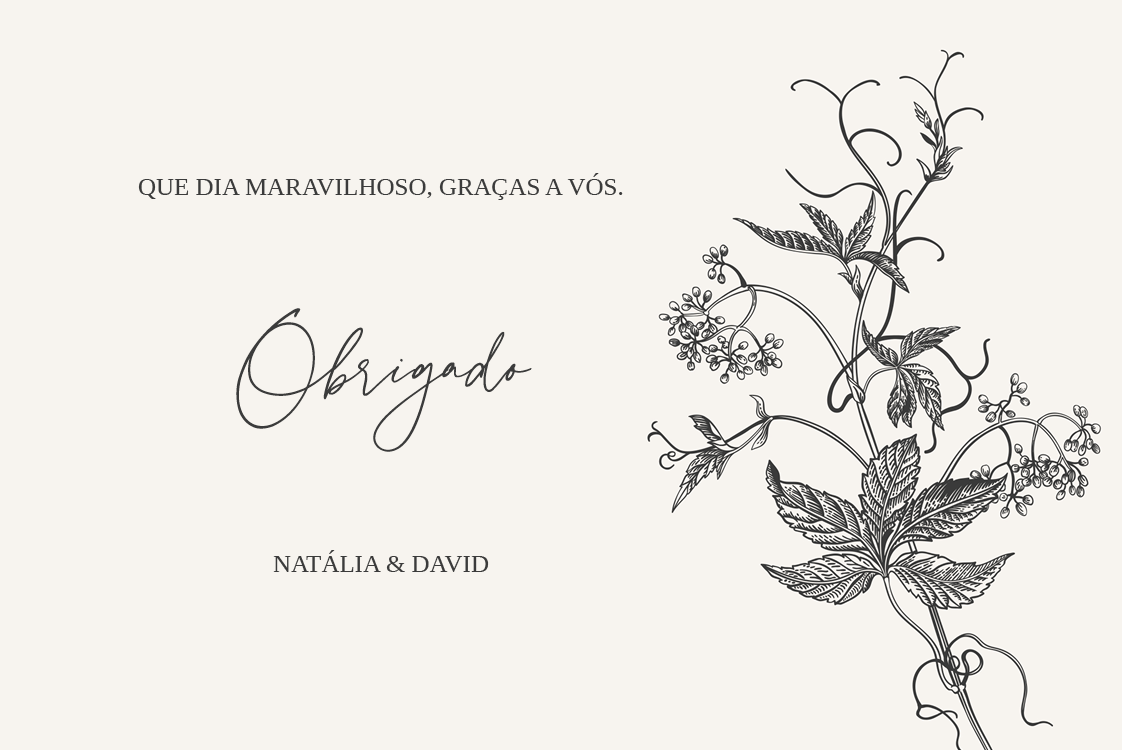 Cartões de agradecimento — Tinta e hera