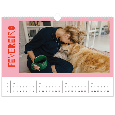 Calendário A3 Horizontal — Divertido e colorido [Fevereiro]