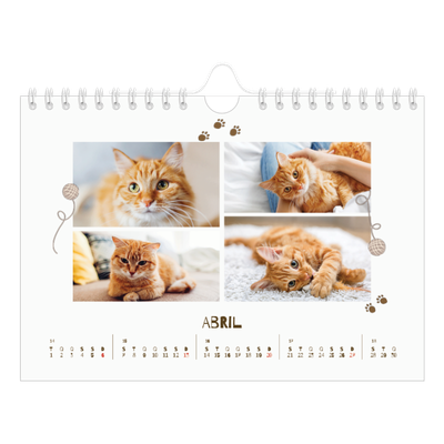 Calendário A5 horizontal — Gatinho brincalhão [Abril]