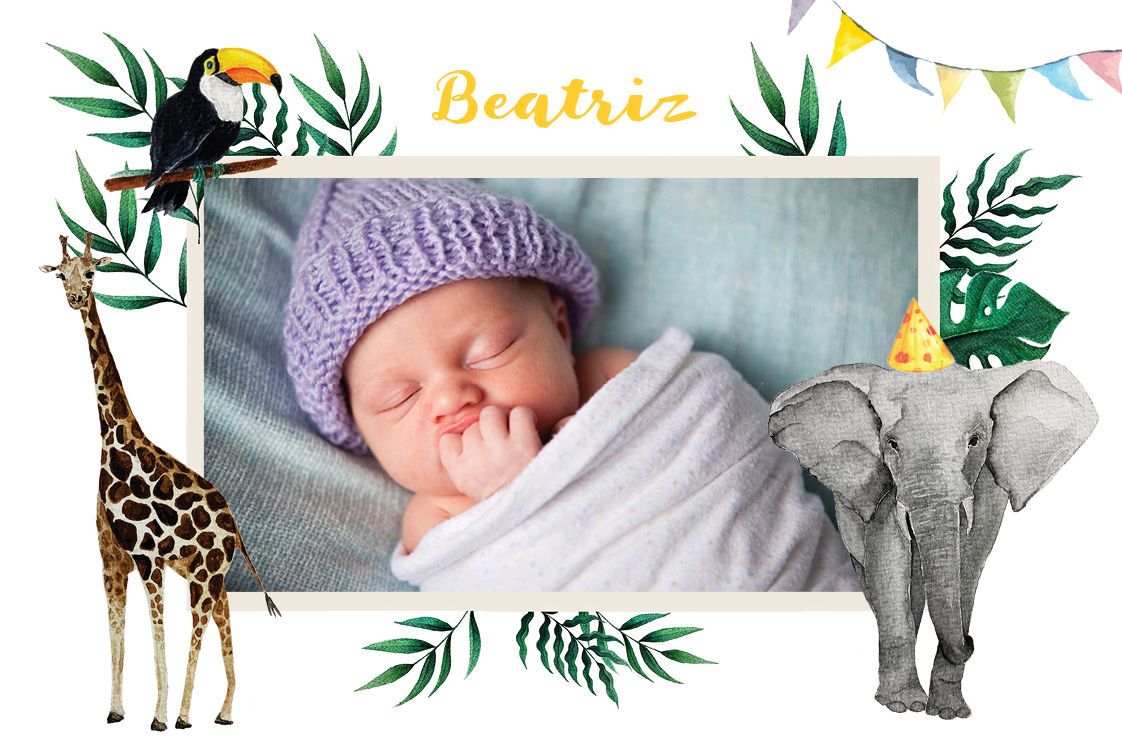 Convites — Animais em aguarela