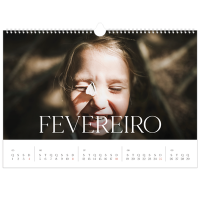 Calendário A3 Horizontal — Doze meses grandes [Fevereiro]