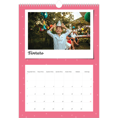Calendário A3 — Fotografias coloridas [Fevereiro]