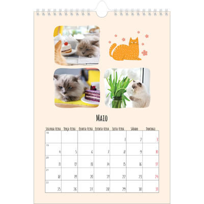 Calendário fotográfico A4 — Patas de gato e garatujas [capa]