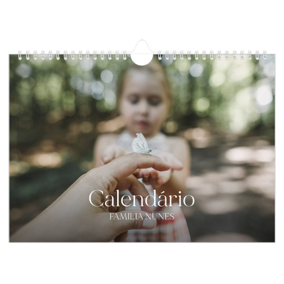 Calendário A4 horizontal — Doze meses grandes [capa]