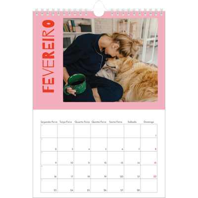 Calendário fotográfico A4 — Divertido e colorido [Fevereiro]