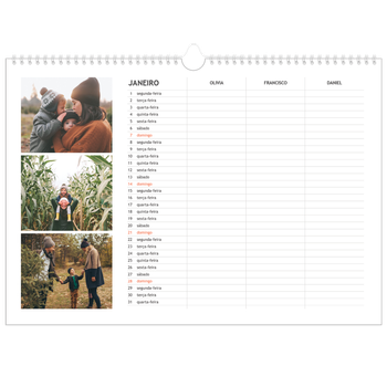 Calendário fotográfico horizontal A3 — Planeador simples - Familia de 3
