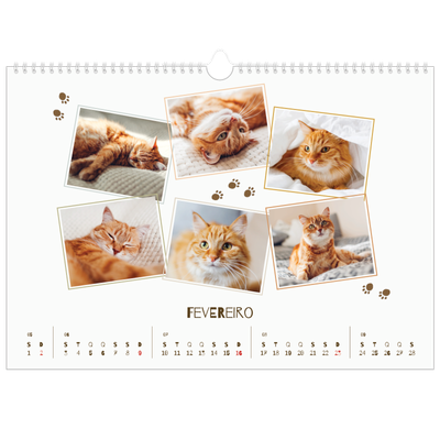 Calendário A3 Horizontal — Gatinho brincalhão [Fevereiro]