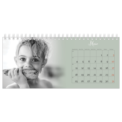 Calendários de mesa — Verde enevoado [capa]