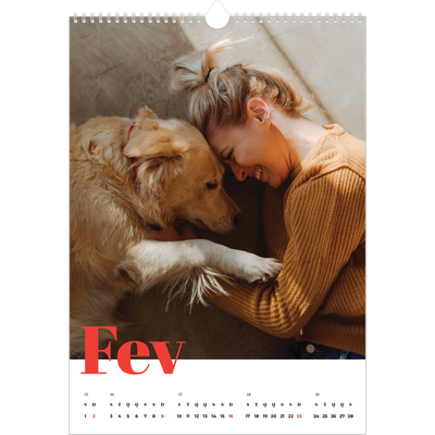 Calendário A3 — Um ano audacioso [Fevereiro]