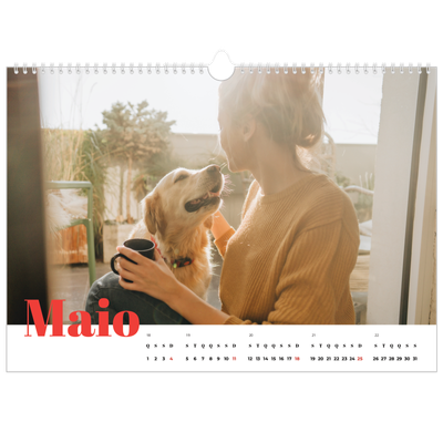 Calendário A3 Horizontal — Um ano audacioso [capa]