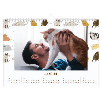 Calendário de Fotografias A4 Paisagem — Gatinho brincalhão