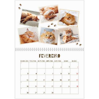 Calendário A4 duplo — Gatinho brincalhão [Fevereiro]
