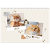 Calendário A4 duplo — Gatinho brincalhão [capa]