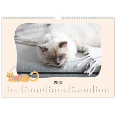 Calendário A3 Horizontal — Patas de gato e garatujas [Janeiro]