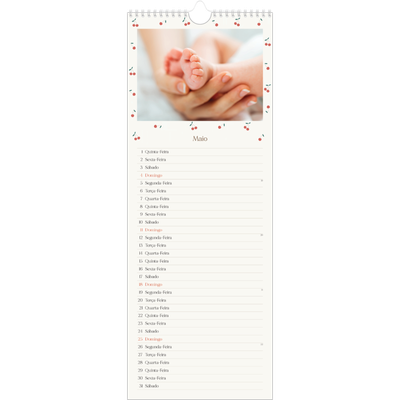 Calendário fino  — Felicidade de cereja [capa]