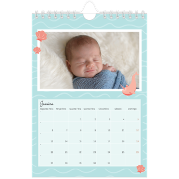 Calendário A5 — Animais bonitos