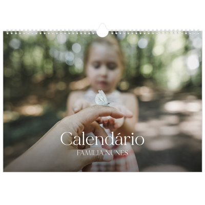 Calendário A3 Horizontal — Doze meses grandes [capa]