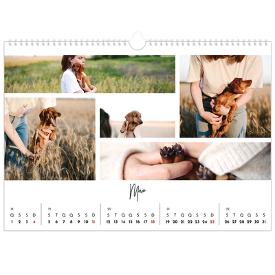 Calendário A3 Horizontal — Arranjos fotográficos [capa]