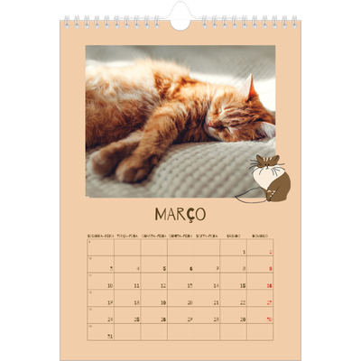 Calendário fotográfico A4 — Gatinho brincalhão [Março]