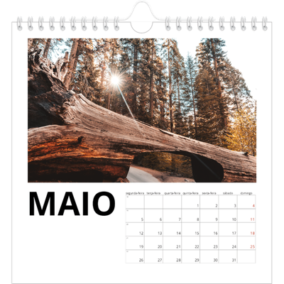 Calendário quadrado — White space [capa]
