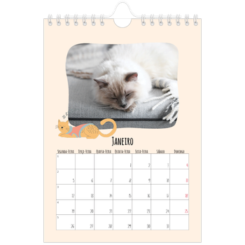 Calendário A5 — Patas de gato e garatujas