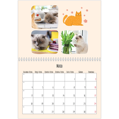 Calendário A4 duplo — Patas de gato e garatujas [capa]