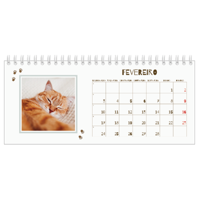 Calendários de mesa — Gatinho brincalhão [Fevereiro]