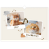 Calendário A3 Horizontal — Gatinho brincalhão [capa]