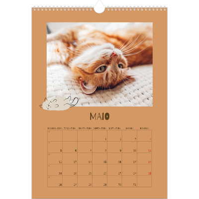 Calendário A3 — Gatinho brincalhão [capa]