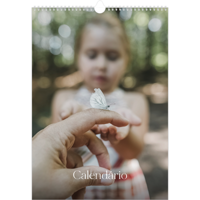 Calendário A3 — Doze meses grandes [capa]