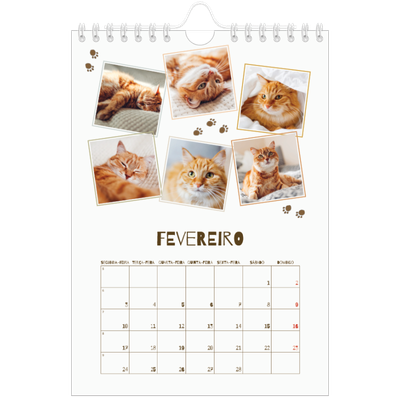 Calendário A5 — Gatinho brincalhão [Fevereiro]