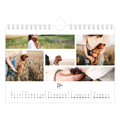 Calendário A5 horizontal — Arranjos fotográficos [capa]