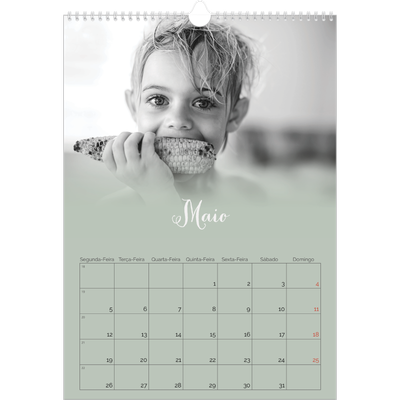 Calendário A3 — Verde enevoado [capa]