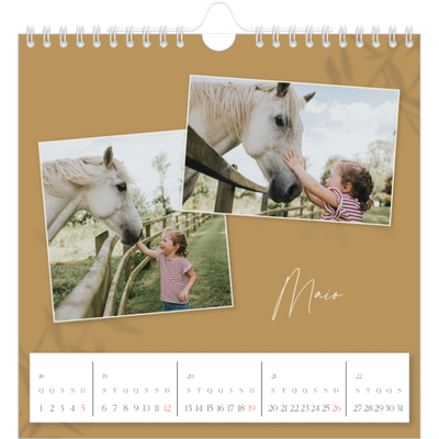 Calendário quadrado — Com os pés no chão [capa]